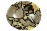 Eye-Eatching, Polished Septarian Bowl - Madagascar #342679-1